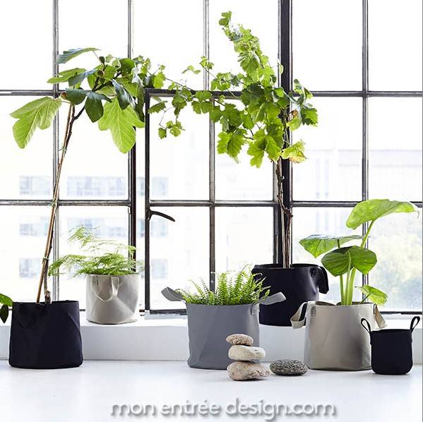 Quel pot de fleur décoratif pour mon intérieur à Strasbourg et en ligne ?