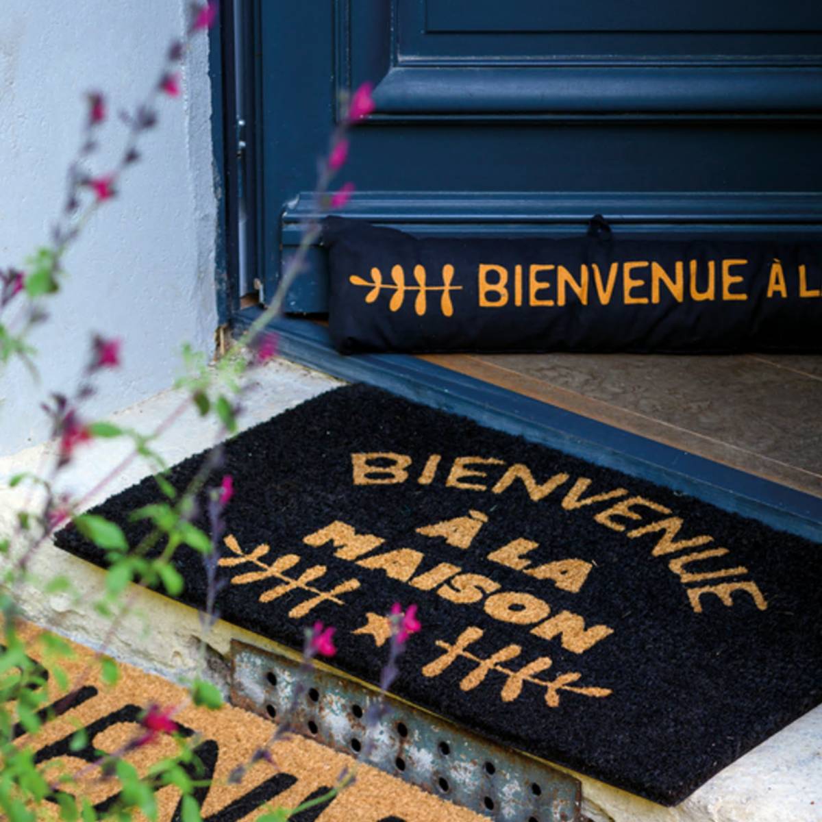 Tapis DLP derrière la porte sur monentreedesign.com